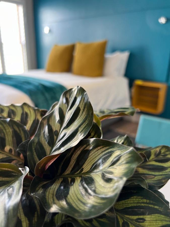 Hermanus Waterfront Apartment No 17 Eksteriør billede